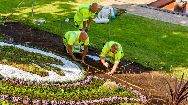 Manutenção de jardim em Contagem